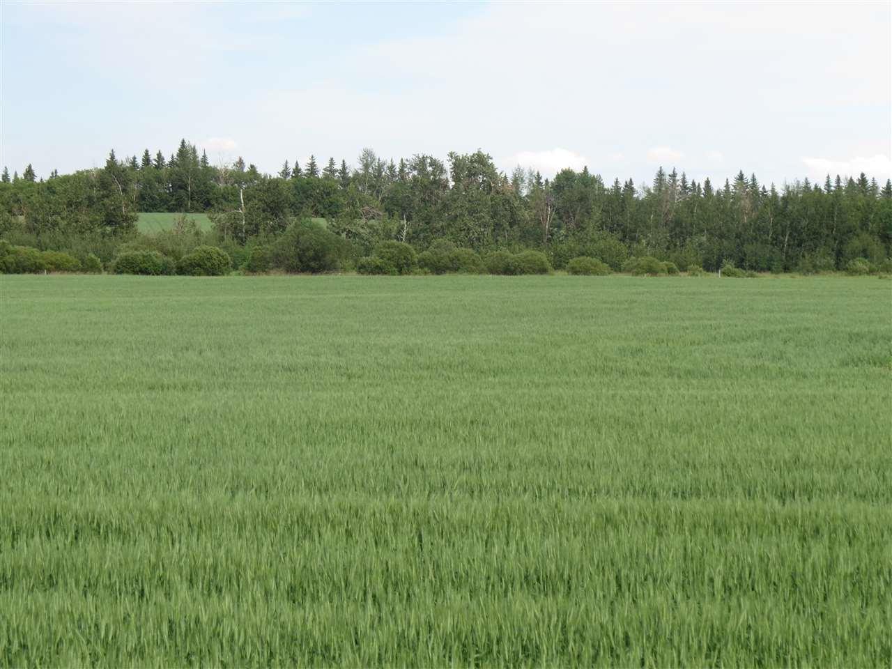 RR 250 TWP 551 - Photo 1