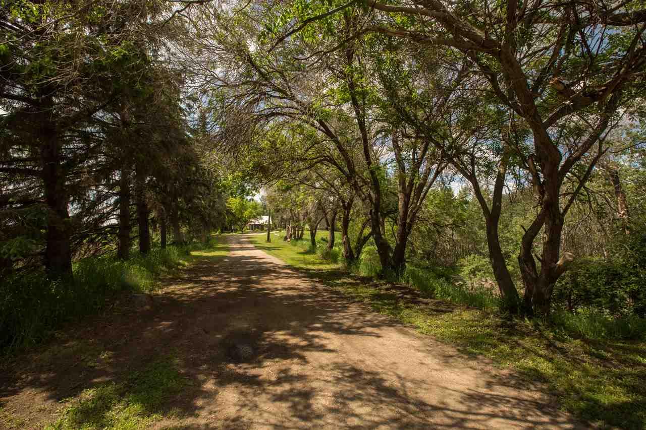 8950 231 Street - Photo 1