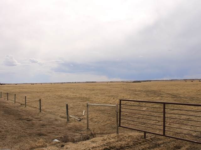 Rge Rd 181 Twp Rd 502 - Photo 1