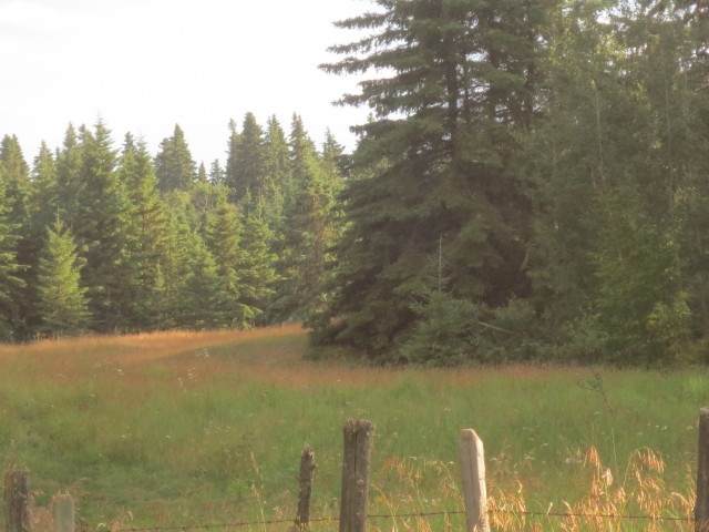 SE30-57-17-W4th Lamont County Acres - Photo 1