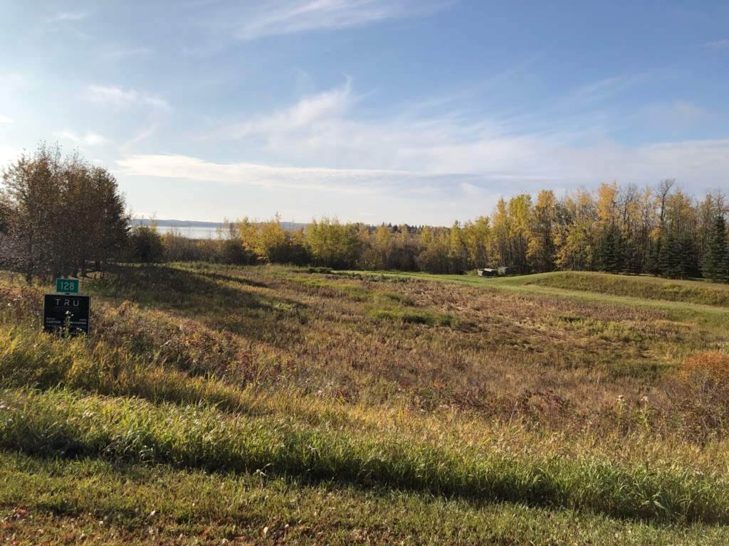 128 10024 Twp Rd 594A - Photo 1