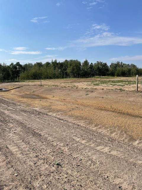 5 54102 Rge Rd 274 - Photo 1