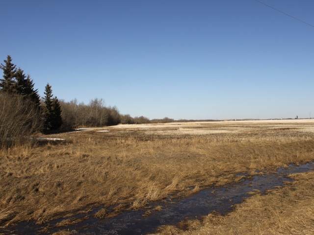 RGE Rd 175 Twp Rd 500 - Photo 1