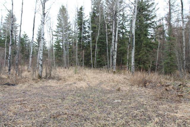 11042 Twp Rd 632 - Photo 1