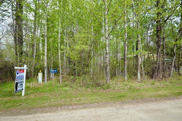 25 Alder Avenue - Photo 1