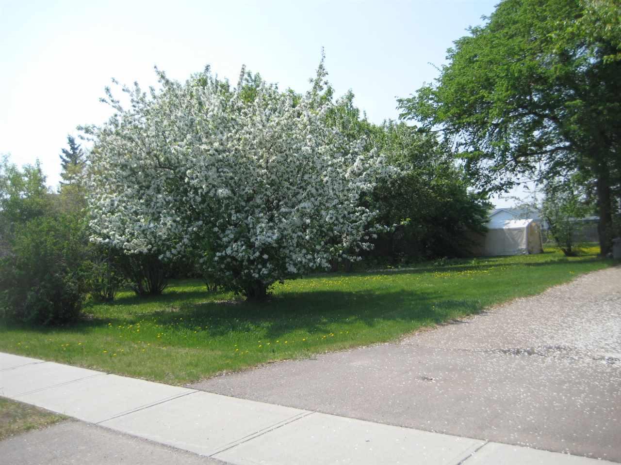 4806 50 Street - Photo 1