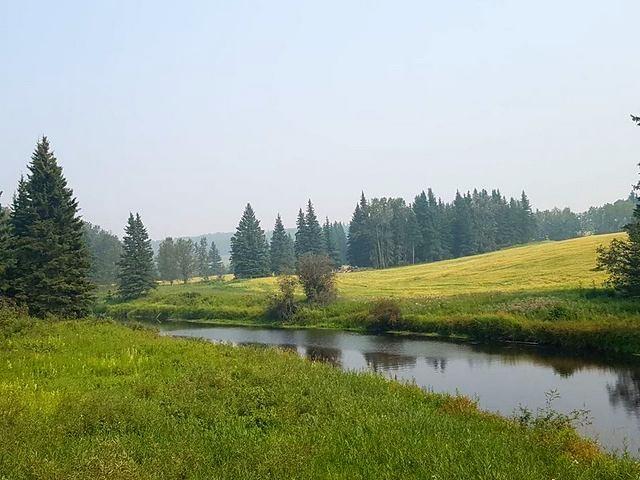 8 Forest Way, Wild Rose Estates (Breynat) - Photo 1