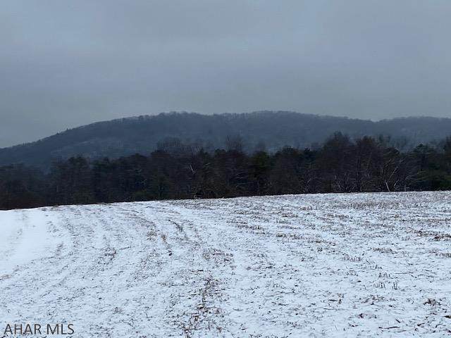 Lot 6 Mckees Gap Road - Photo 1