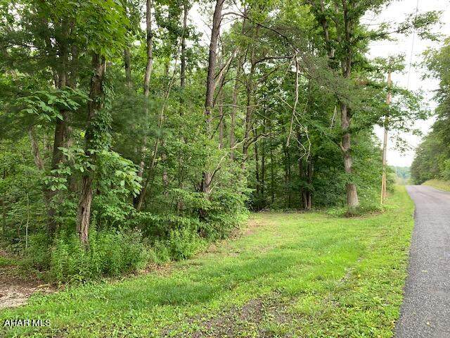 Off Hog Farm Road - Photo 1