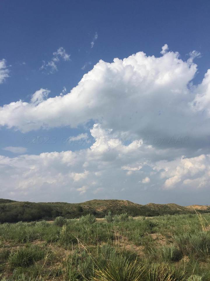 250 Sunrise Ridge - Photo 1