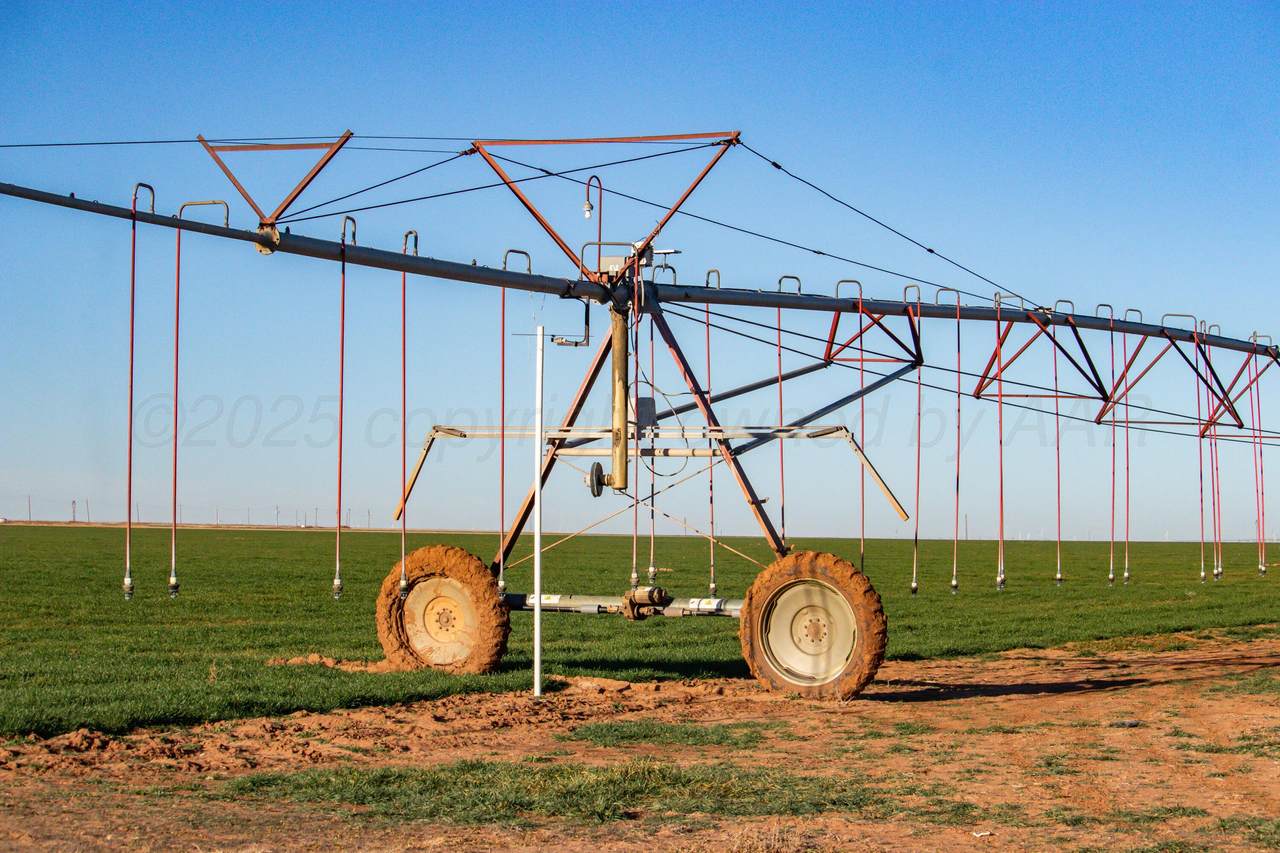  Te Velde Irrigated Farm - Photo 1