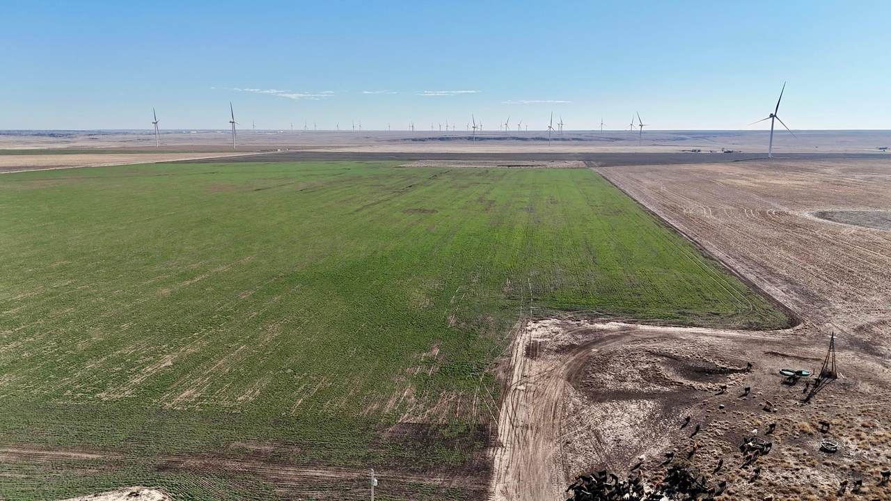 5300 Sh-207 - Photo 1