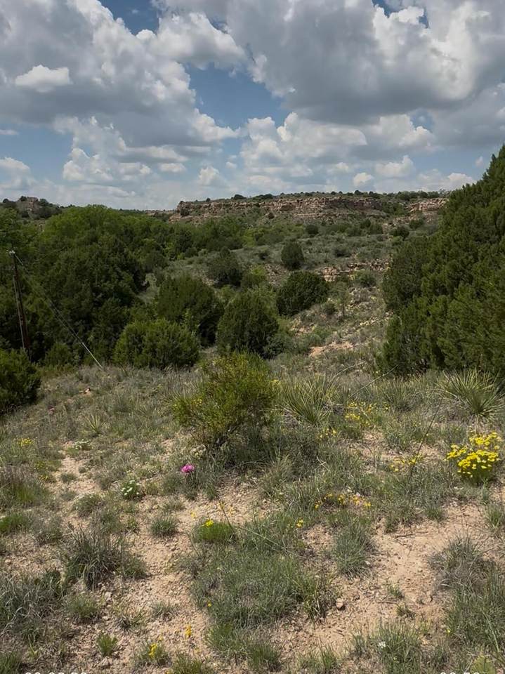  Timbercreek Drive - Photo 1