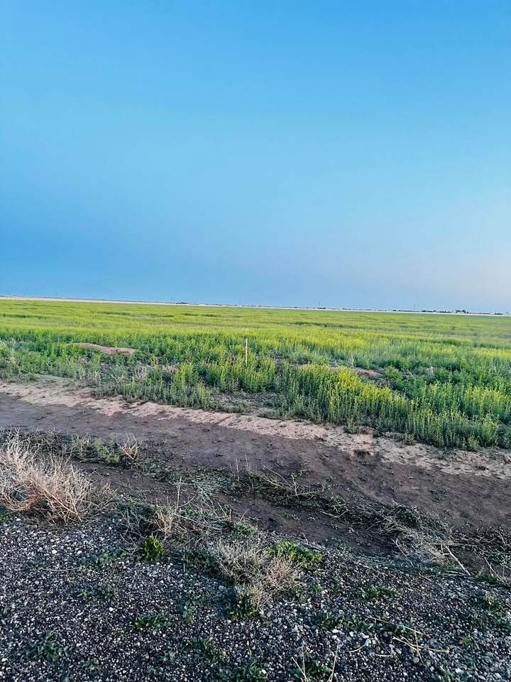 0 (BT33) Blessen Road - Photo 1