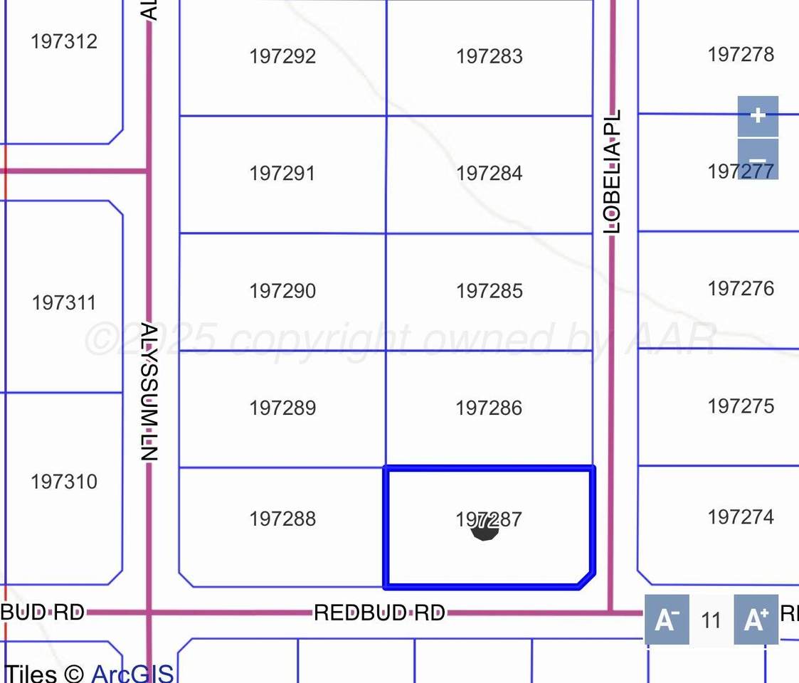 14586 Lobelia Place - Photo 1