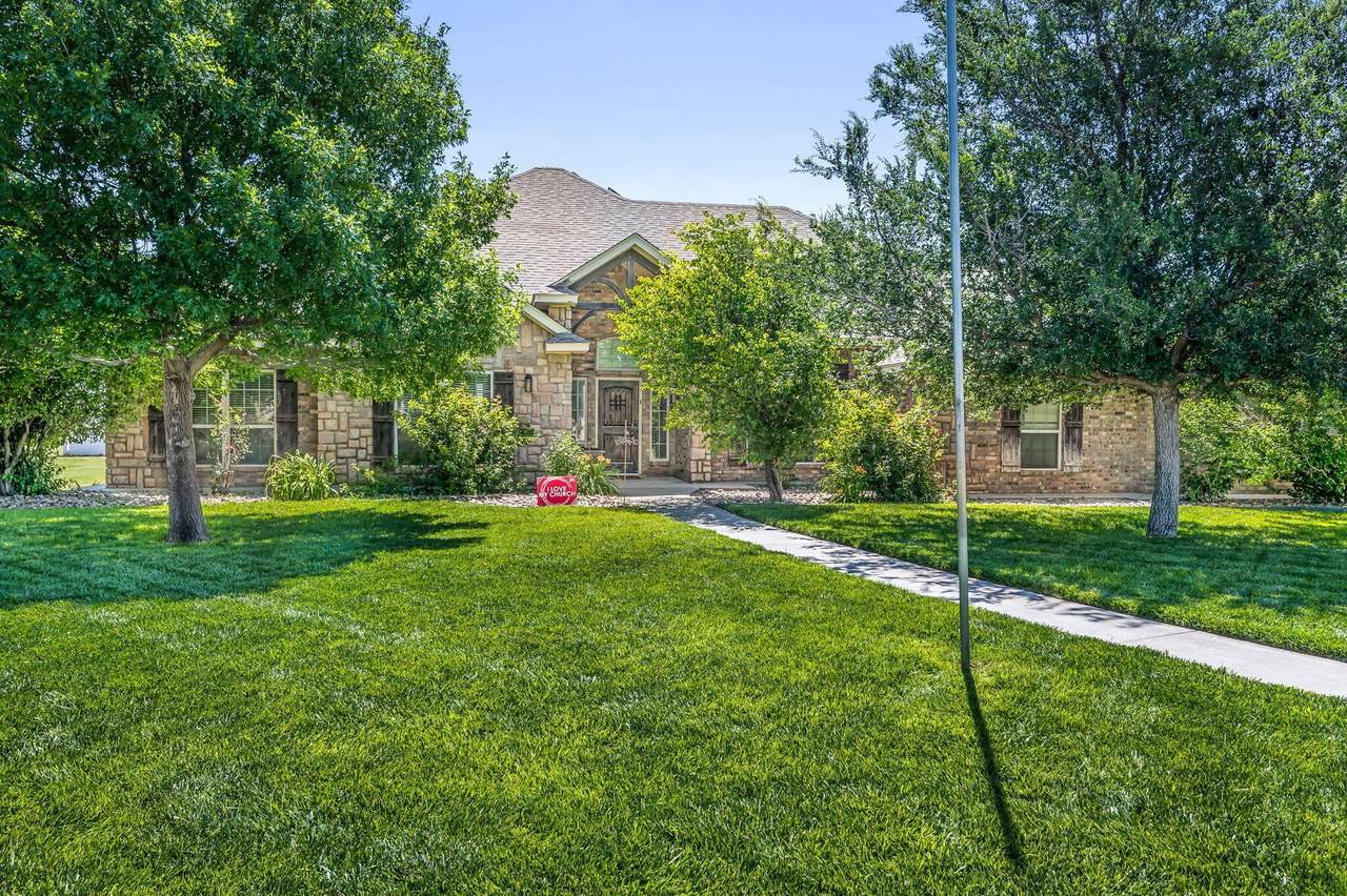 9151 Bridle Trails Drive - Photo 1