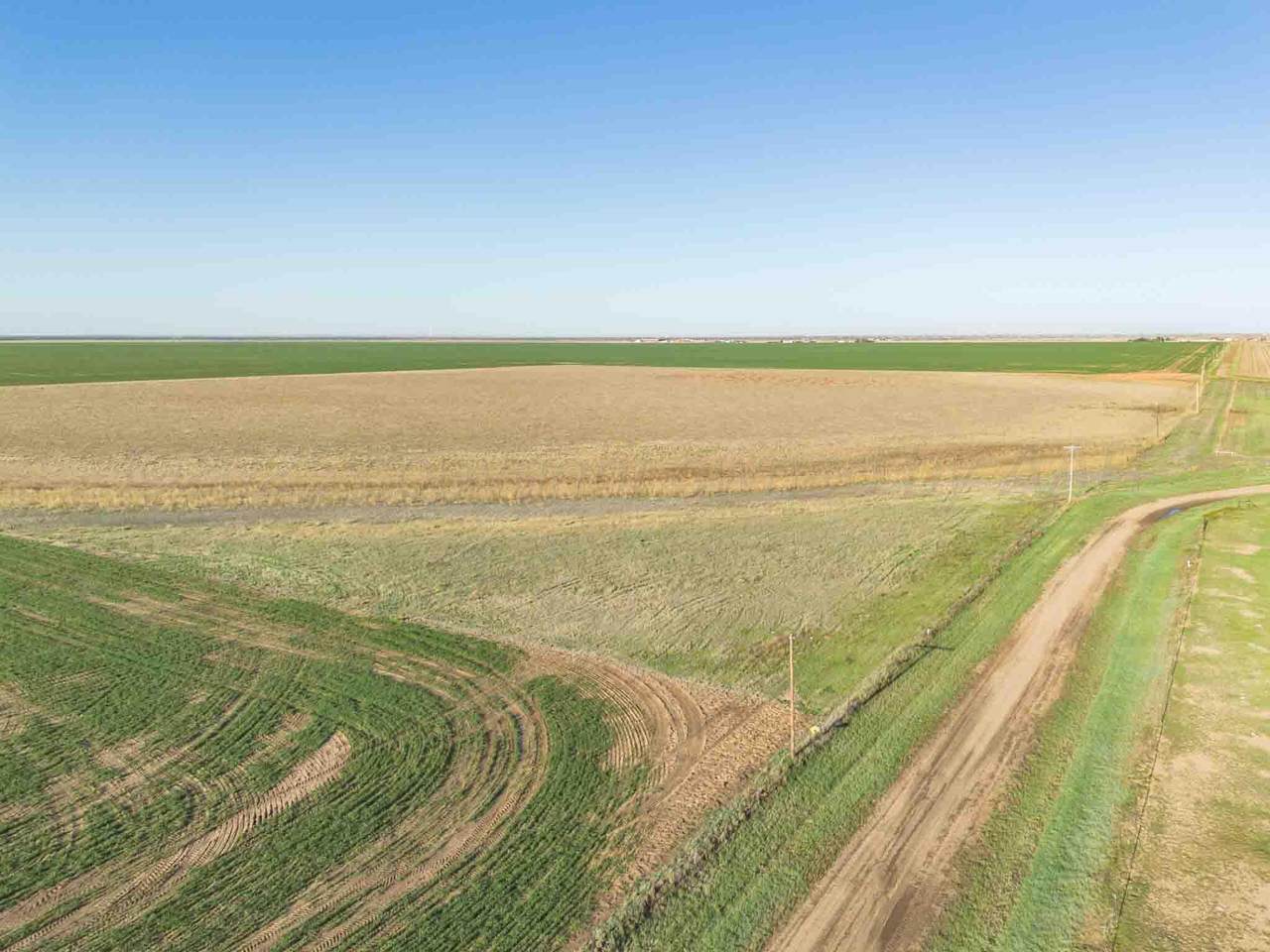 Friemel 980 Acres - Photo 1