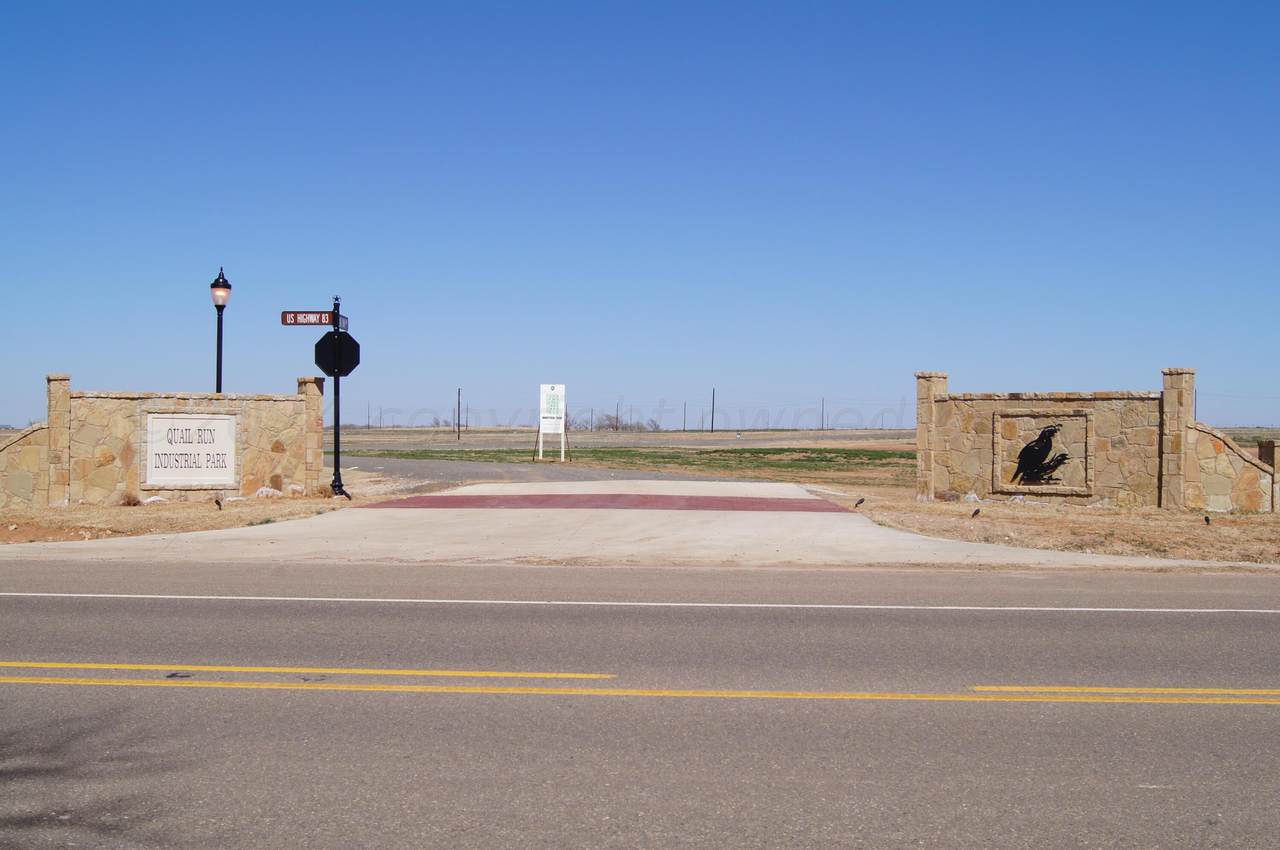 305 Quail Run Lane - Photo 1