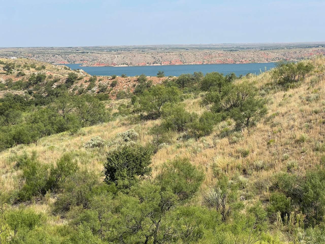 9831 Amarillo Road - Photo 1