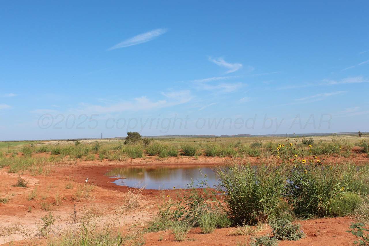 325 acres Childress - Photo 1
