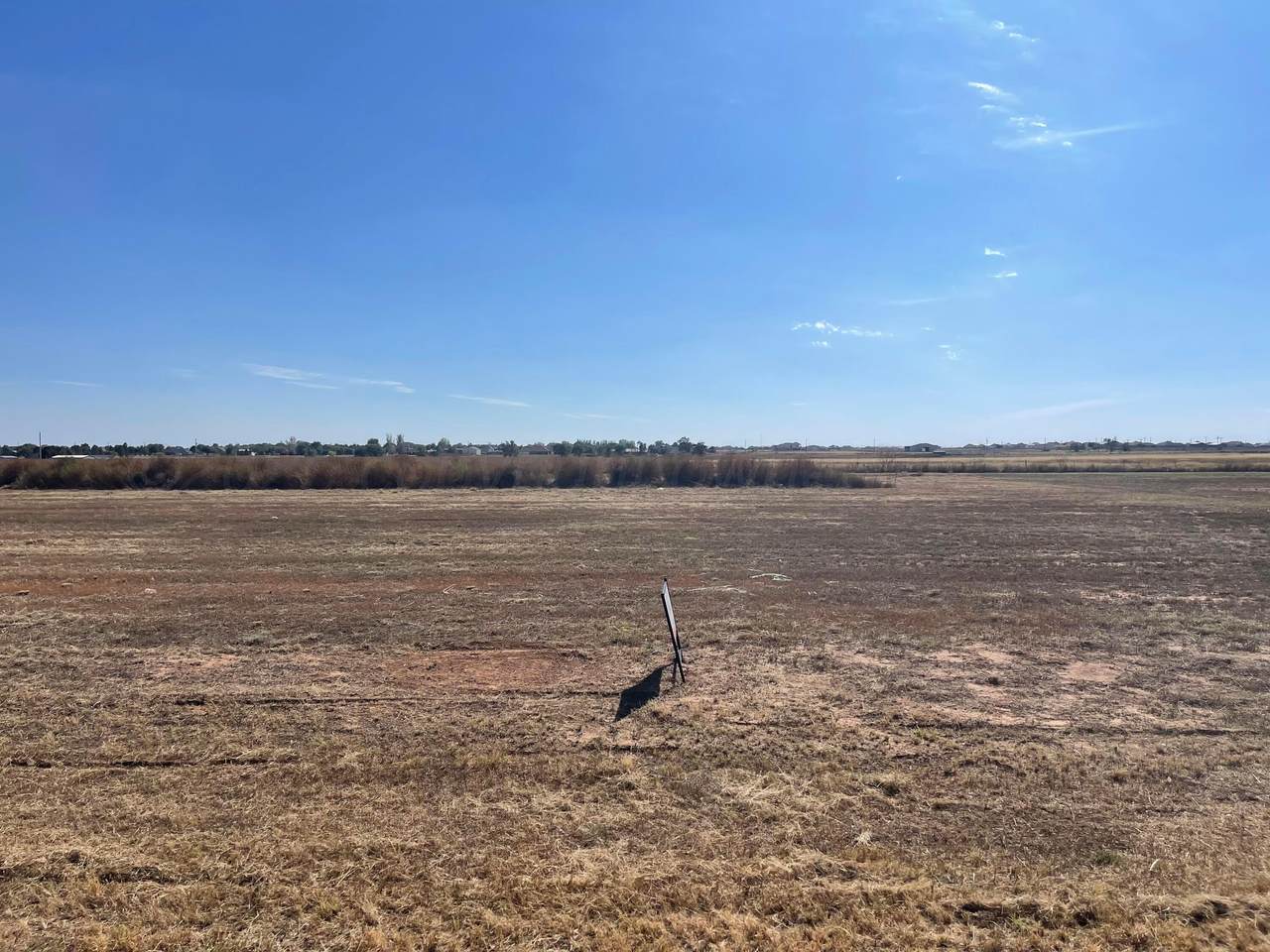 9501 Thornbush Drive - Photo 1