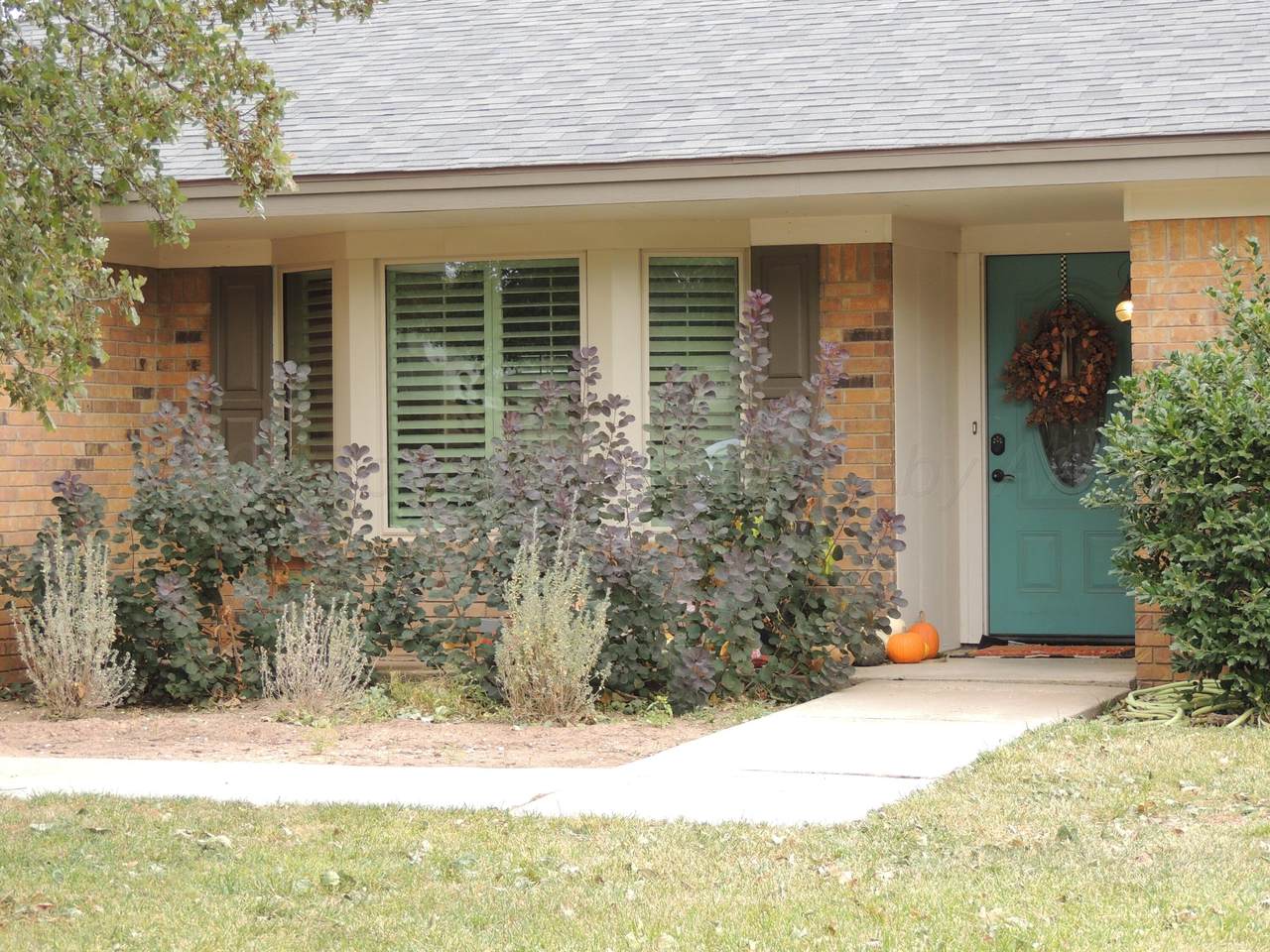 116 Oak Street - Photo 1