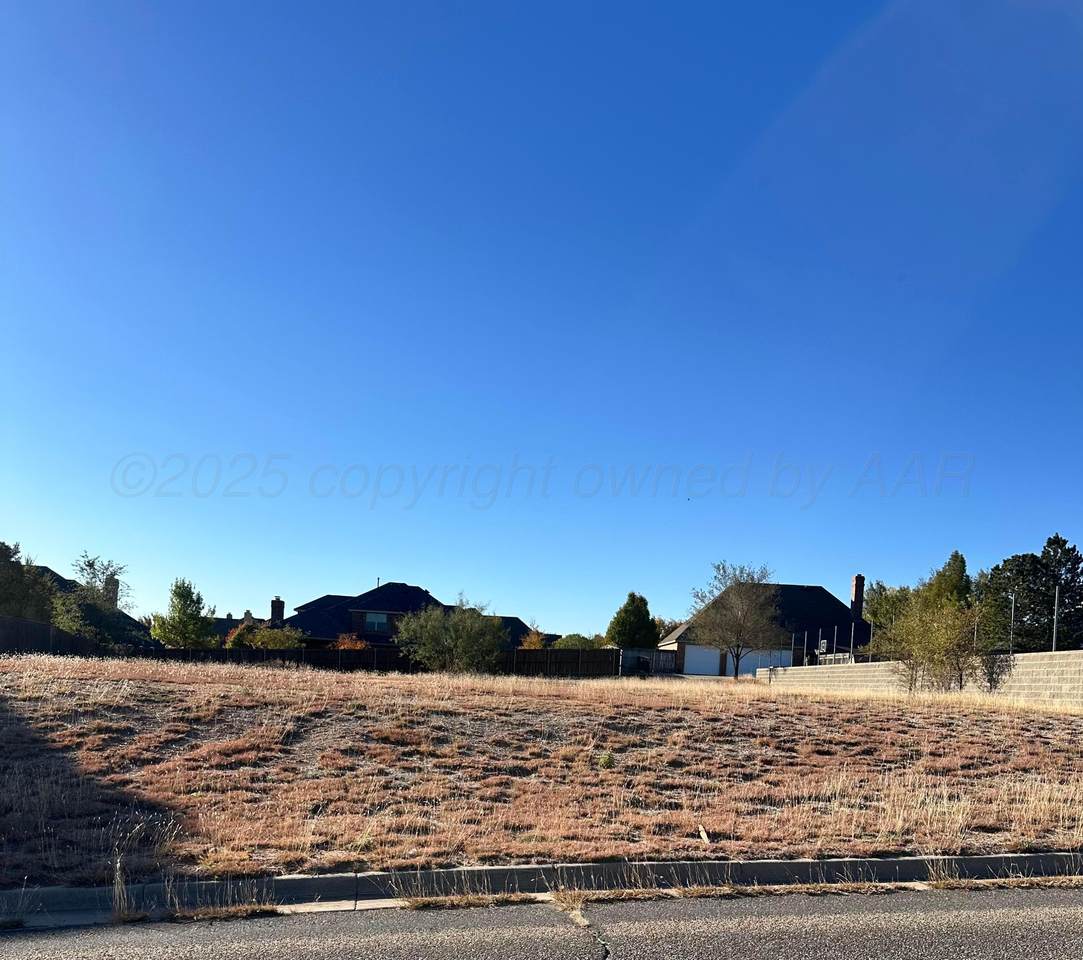 6305 Sweetbay Lane - Photo 1