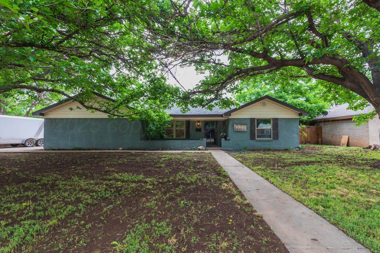 3301 Palmetto Trail - Photo 1