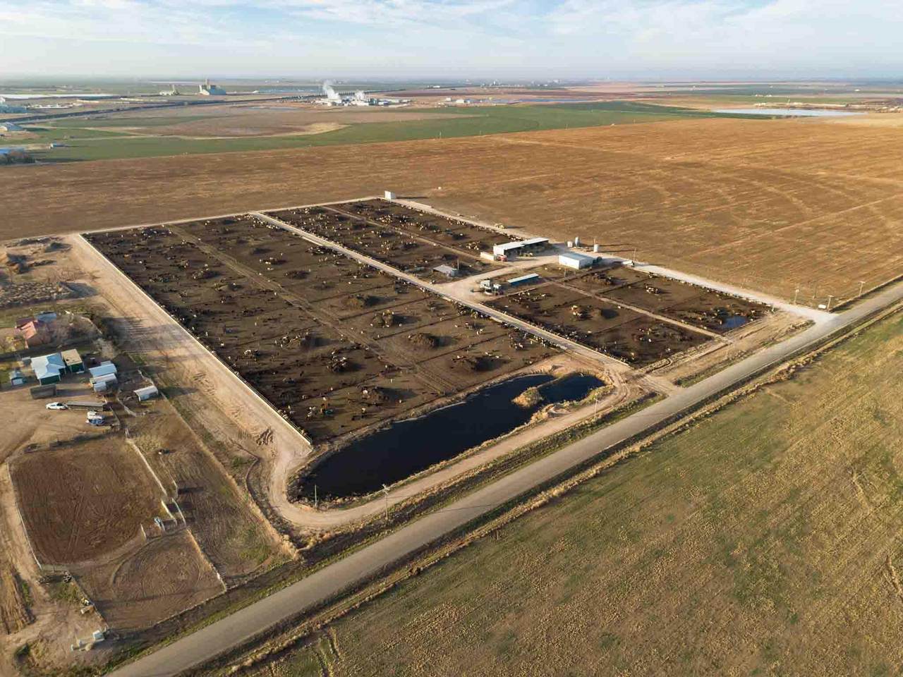  Crow Cattle Growyard - Photo 1