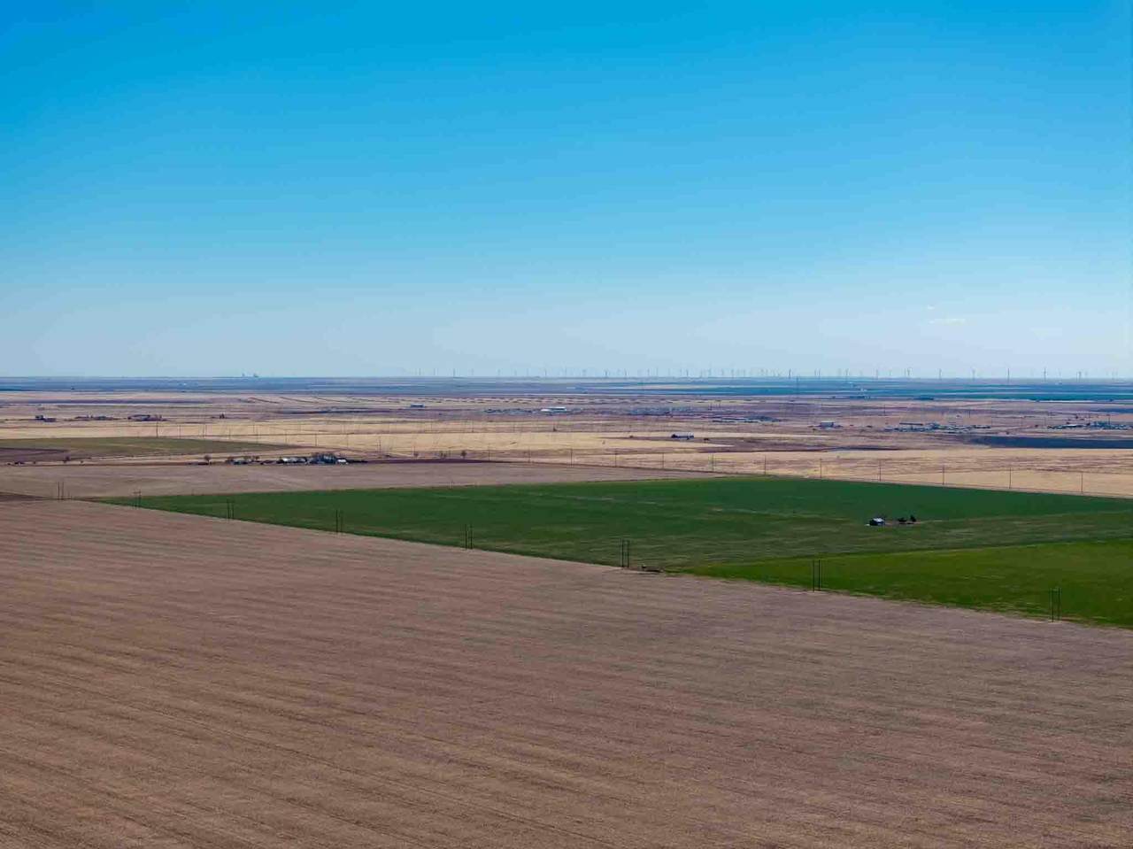 https://bt-photos.global.ssl.fastly.net/amarillo/1280_boomver_1_26-2015-2.jpg