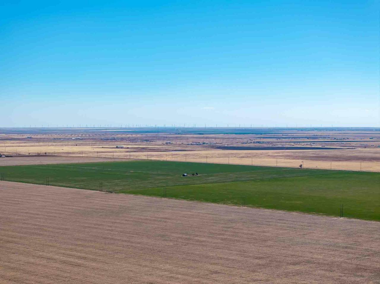 https://bt-photos.global.ssl.fastly.net/amarillo/1280_boomver_1_26-2015-2.jpg