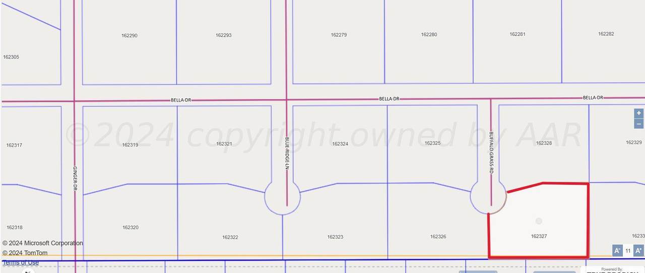 2751 Buffalo Grass Road - Photo 1