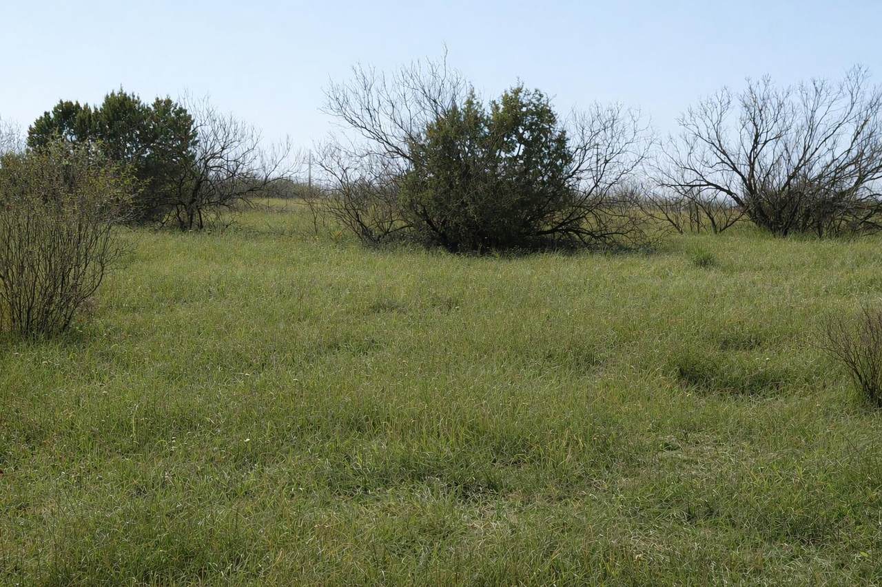 https://bt-photos.global.ssl.fastly.net/amarillo/1280_boomver_1_26-2839-2.jpg