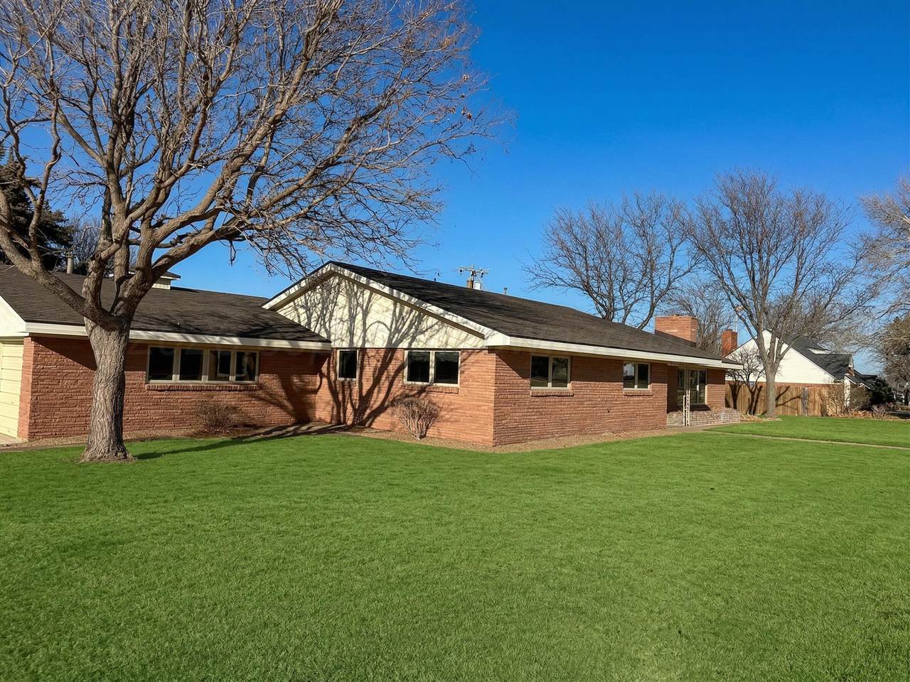 303 Tansy Street - Photo 1