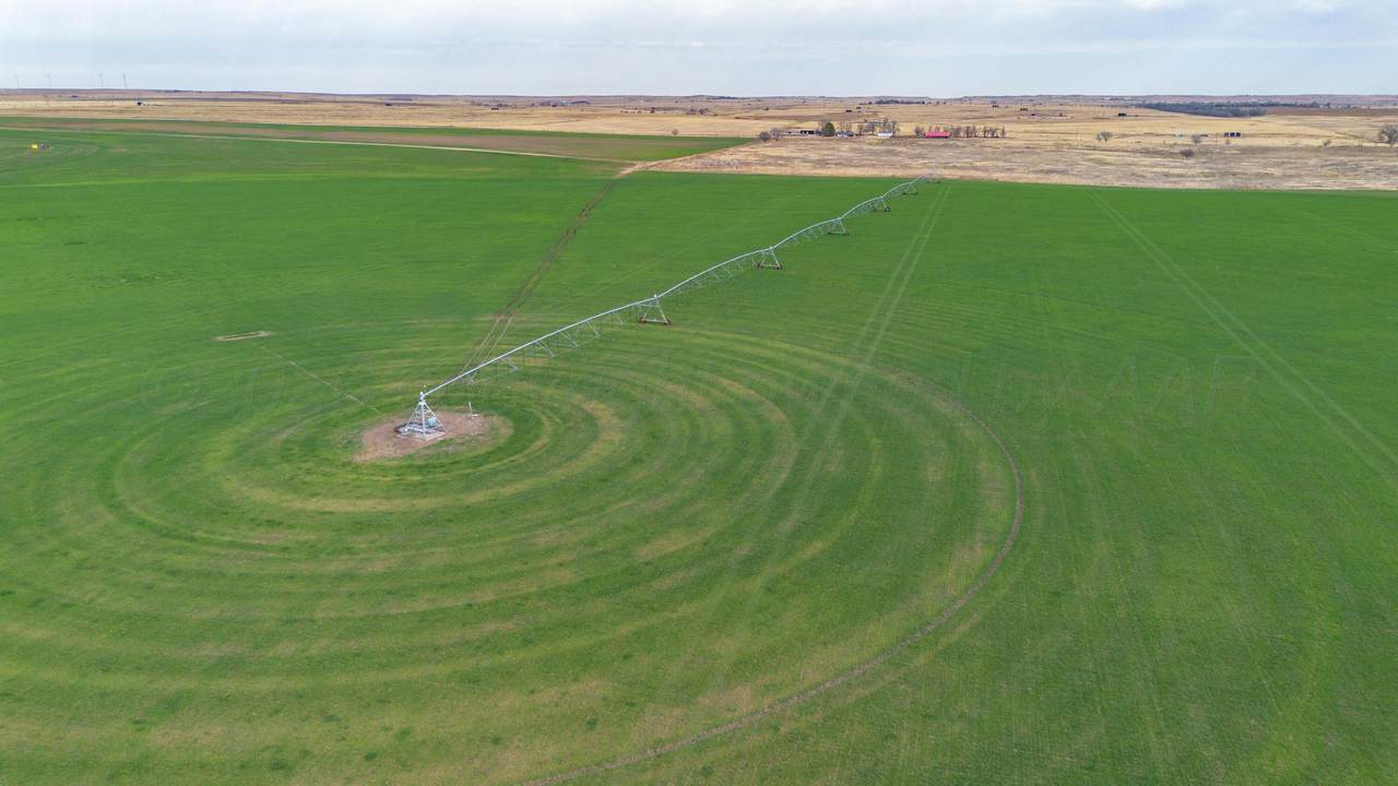  Dodd Farm &plusmn;651.6Ac Nw Briscoe - Photo 1