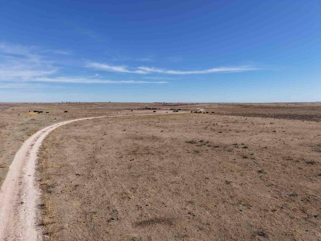  Dodd Grass 480Ac County Line Road - Photo 1