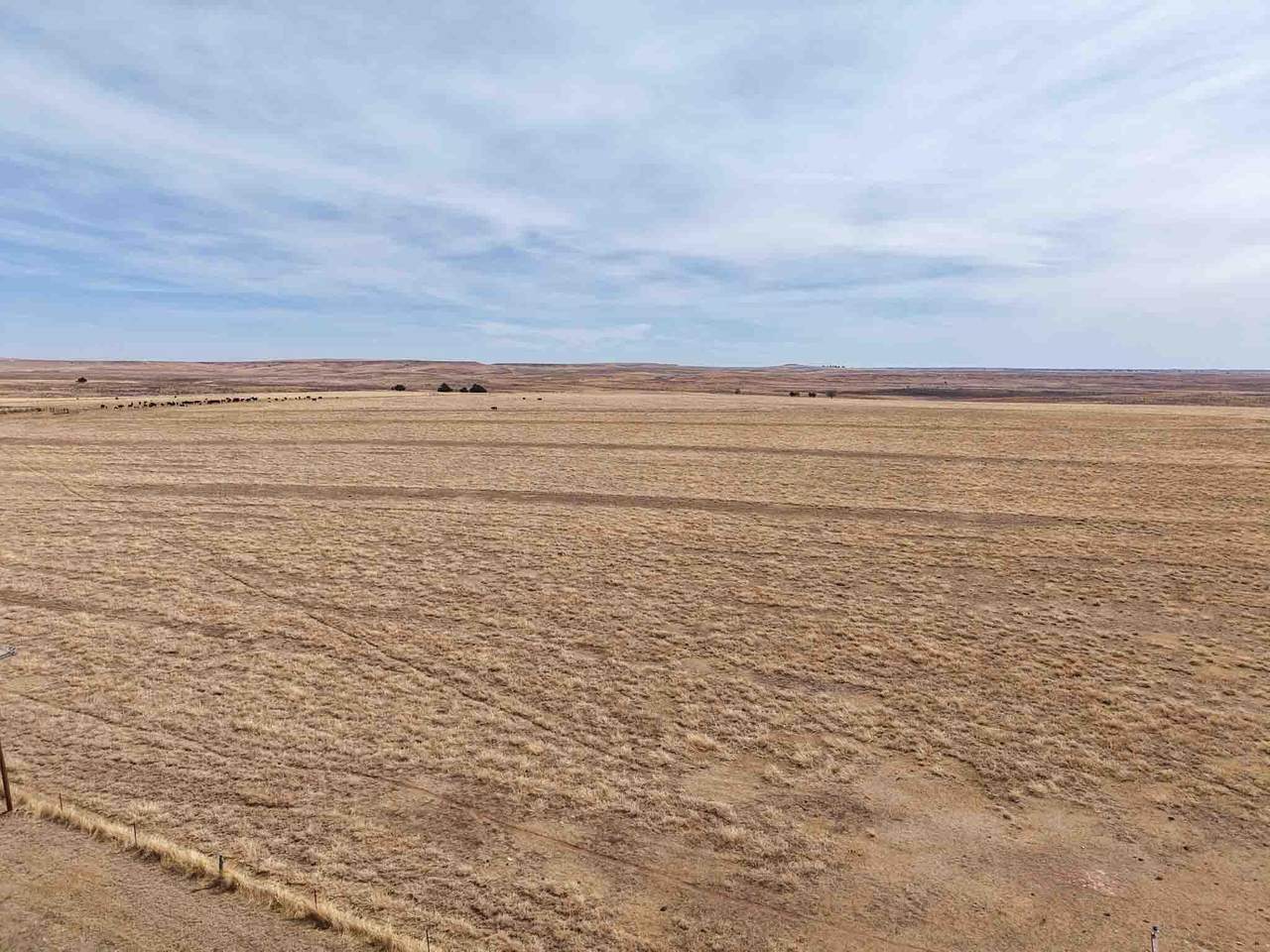  Big Sky Ranch Fm 48 - Photo 1