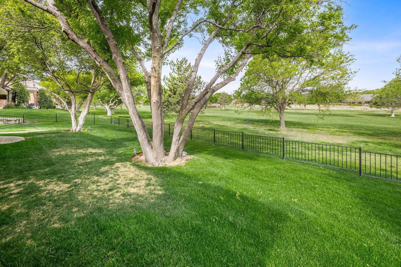 https://bt-photos.global.ssl.fastly.net/amarillo/1280_boomver_1_26-3169-2.jpg