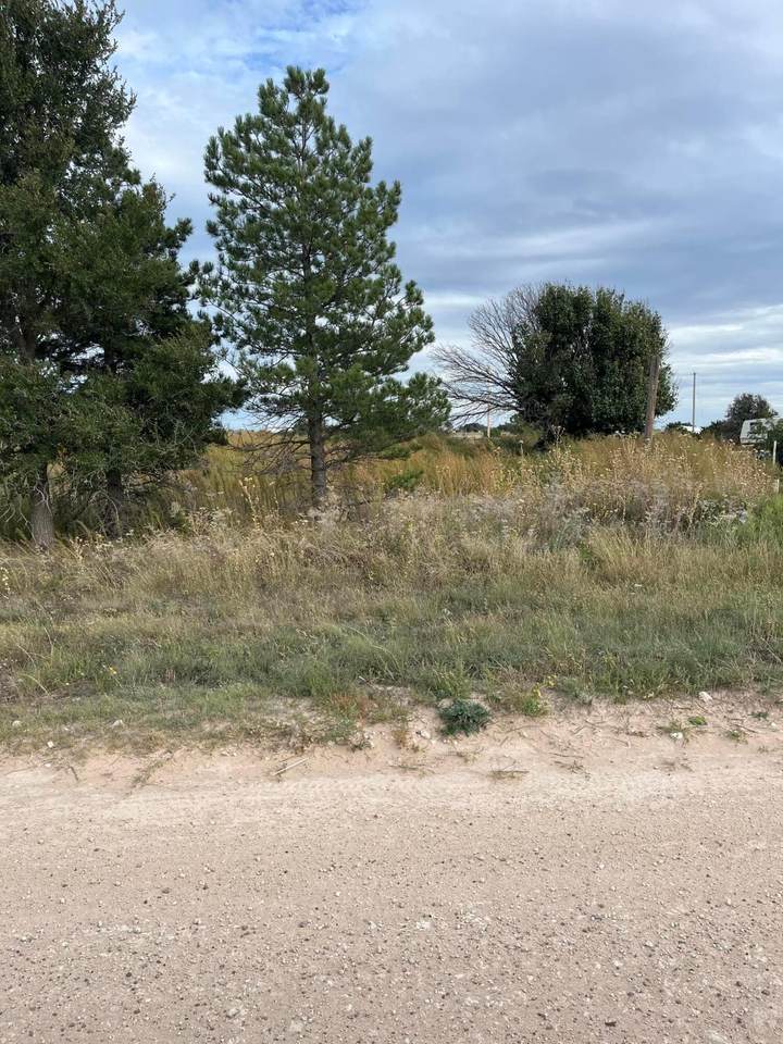 417 Sage Mesa - Photo 1
