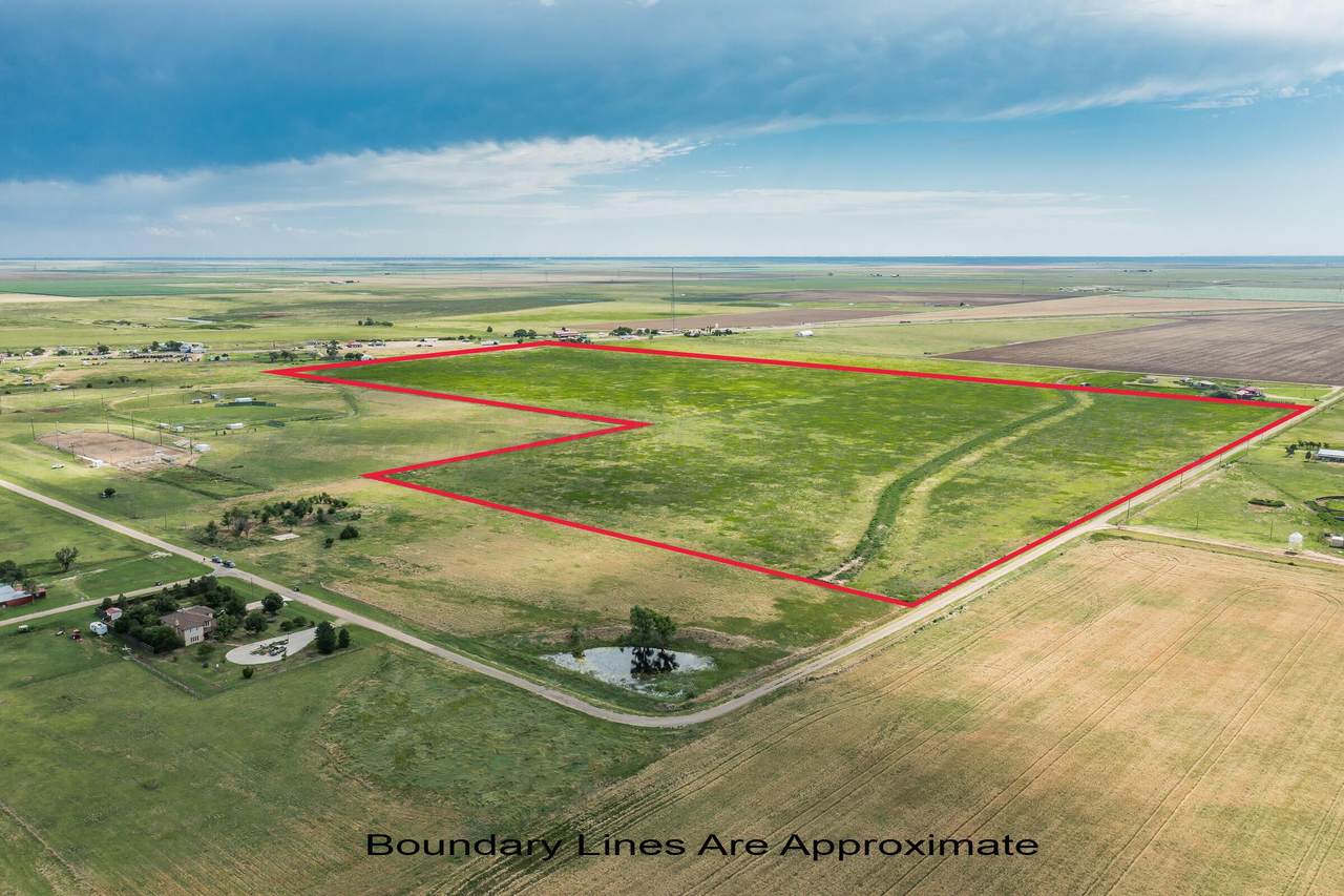  +/- 87 Acres Foxtrot Road - Photo 1
