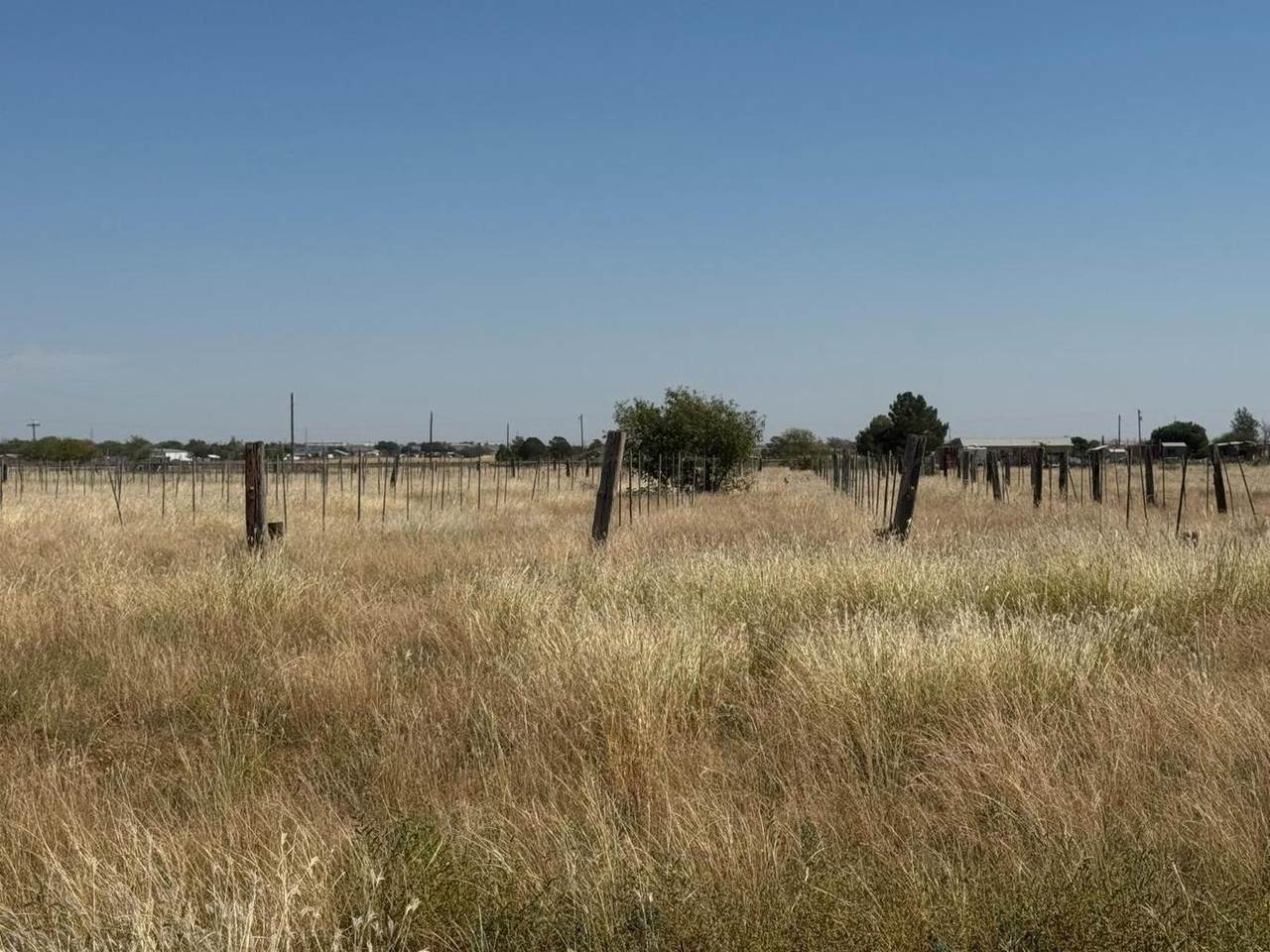 https://bt-photos.global.ssl.fastly.net/amarillo/1280_boomver_1_26-3991-2.jpg