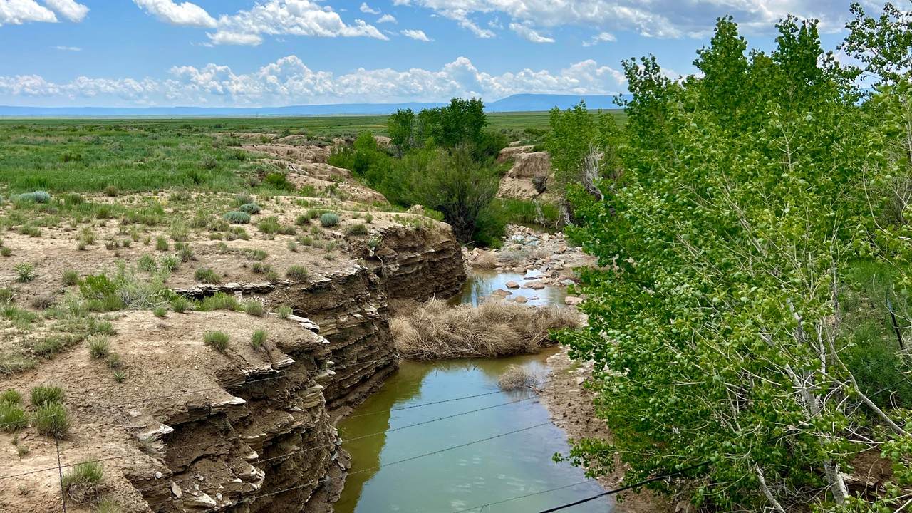 https://bt-photos.global.ssl.fastly.net/amarillo/1280_boomver_1_26-4654-2.jpg