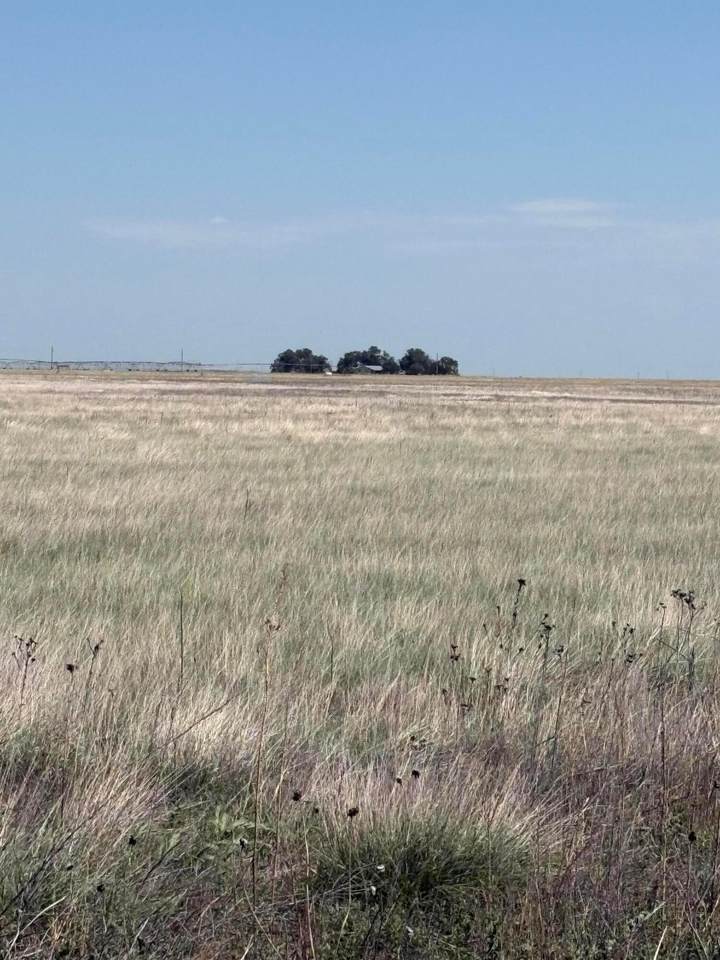 https://bt-photos.global.ssl.fastly.net/amarillo/1280_boomver_1_26-4857-2.jpg
