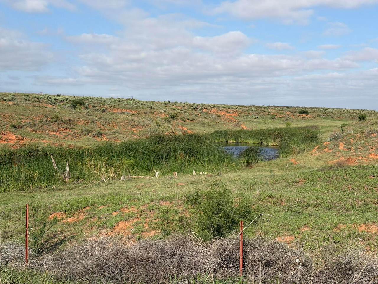 https://bt-photos.global.ssl.fastly.net/amarillo/1280_boomver_1_26-5043-2.jpg