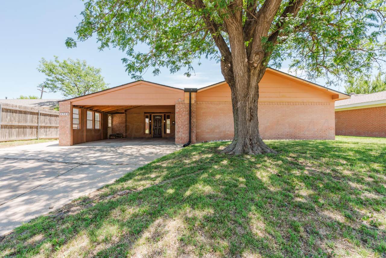 3703 Harmony Street - Photo 1