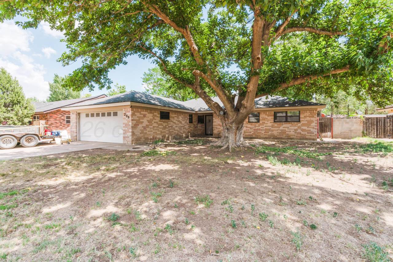 209 Mills Avenue - Photo 1