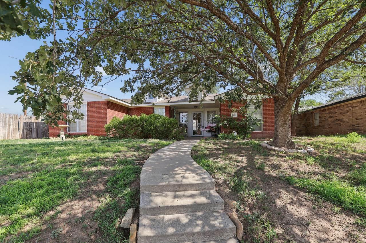 1001 Sterling Drive - Photo 1