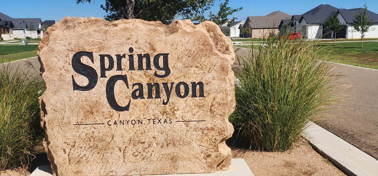 17 Spring Canyon Parkway - Photo 1