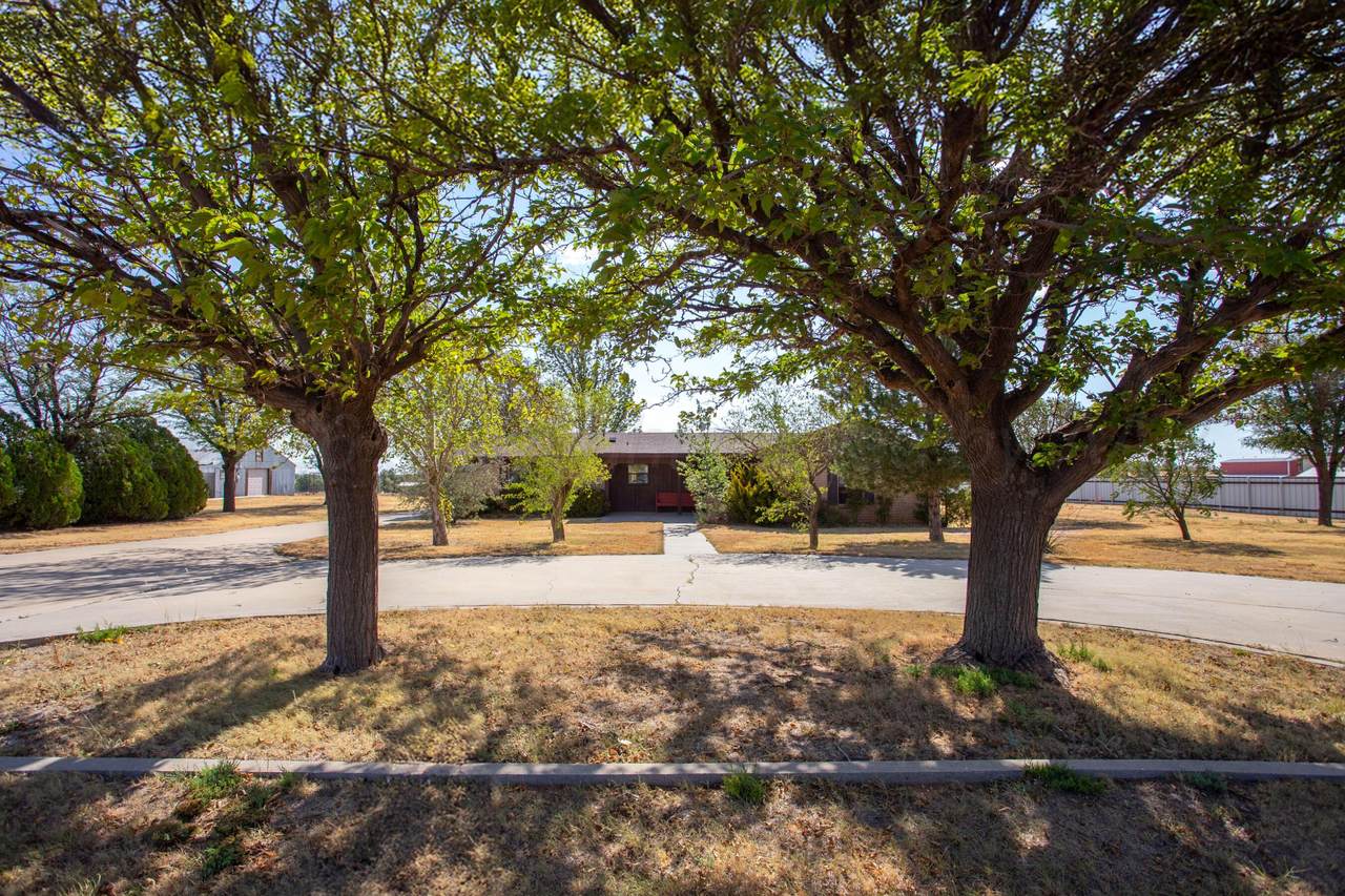 7306 Pettitt Street - Photo 1