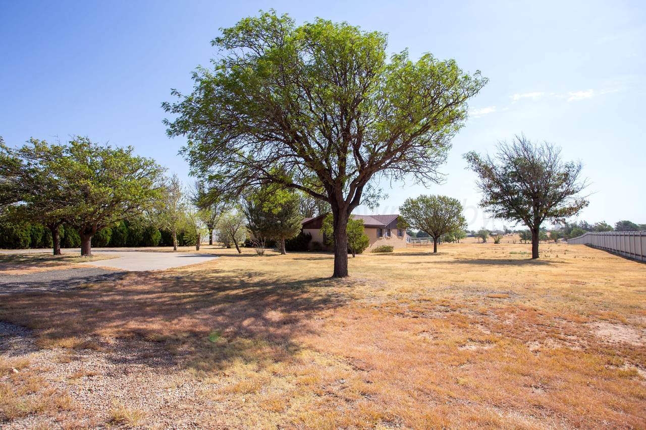 https://bt-photos.global.ssl.fastly.net/amarillo/1280_boomver_1_26-6574-2.jpg